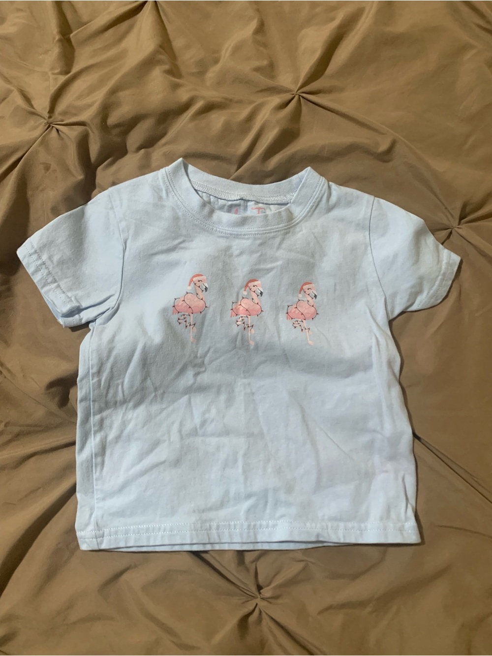 Light Blue Kids Tee with Pink Flamingo Trio